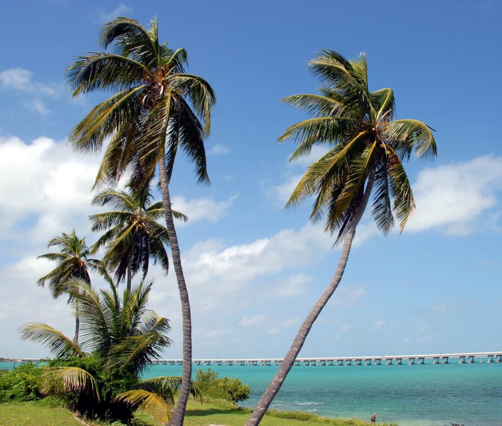 Bahia Honda State Park is one of the best places to go snorkelling in Florida