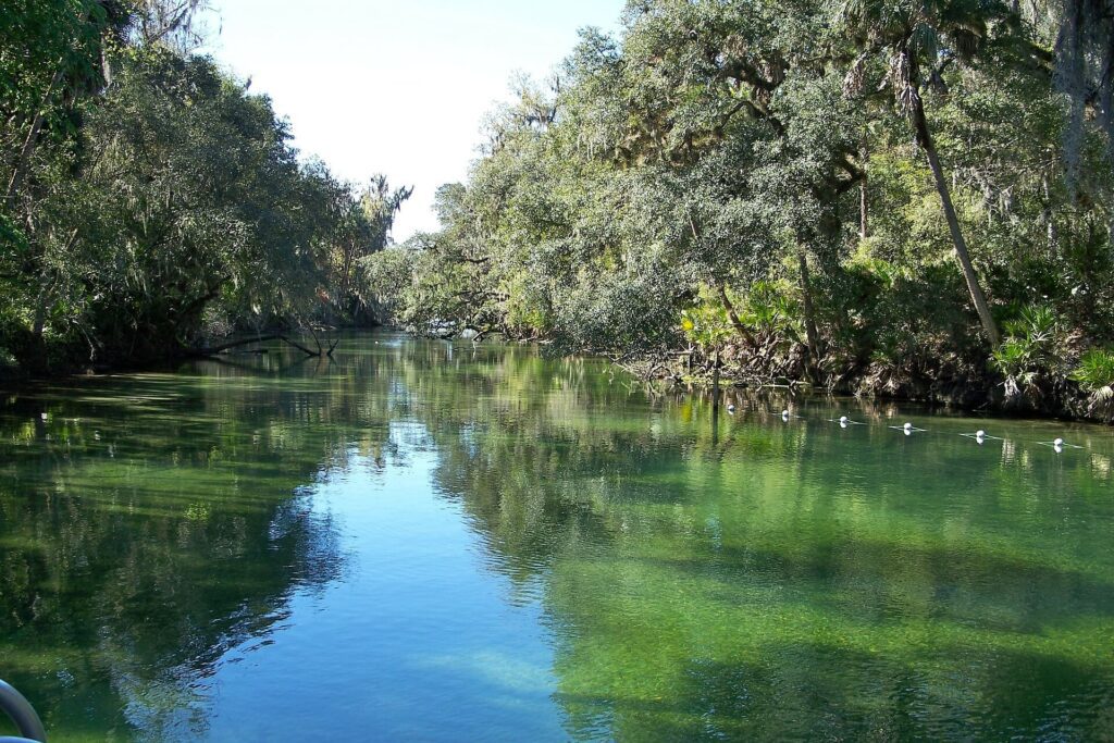 Blue Springs River in Blue Spring State Park, Florida