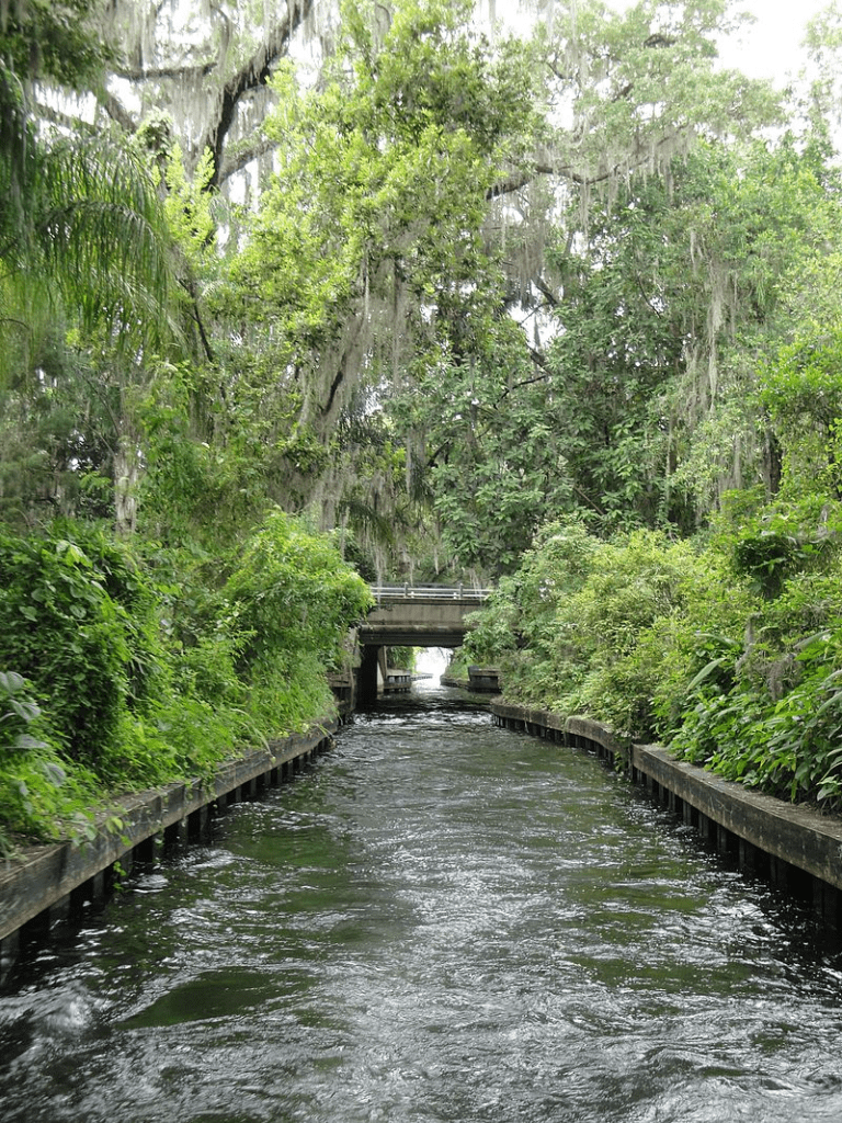 Water and a bridge in a jungle setting. Winter Park, FL