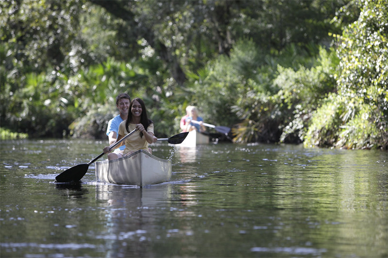 Canoeing at Shingle Creek
